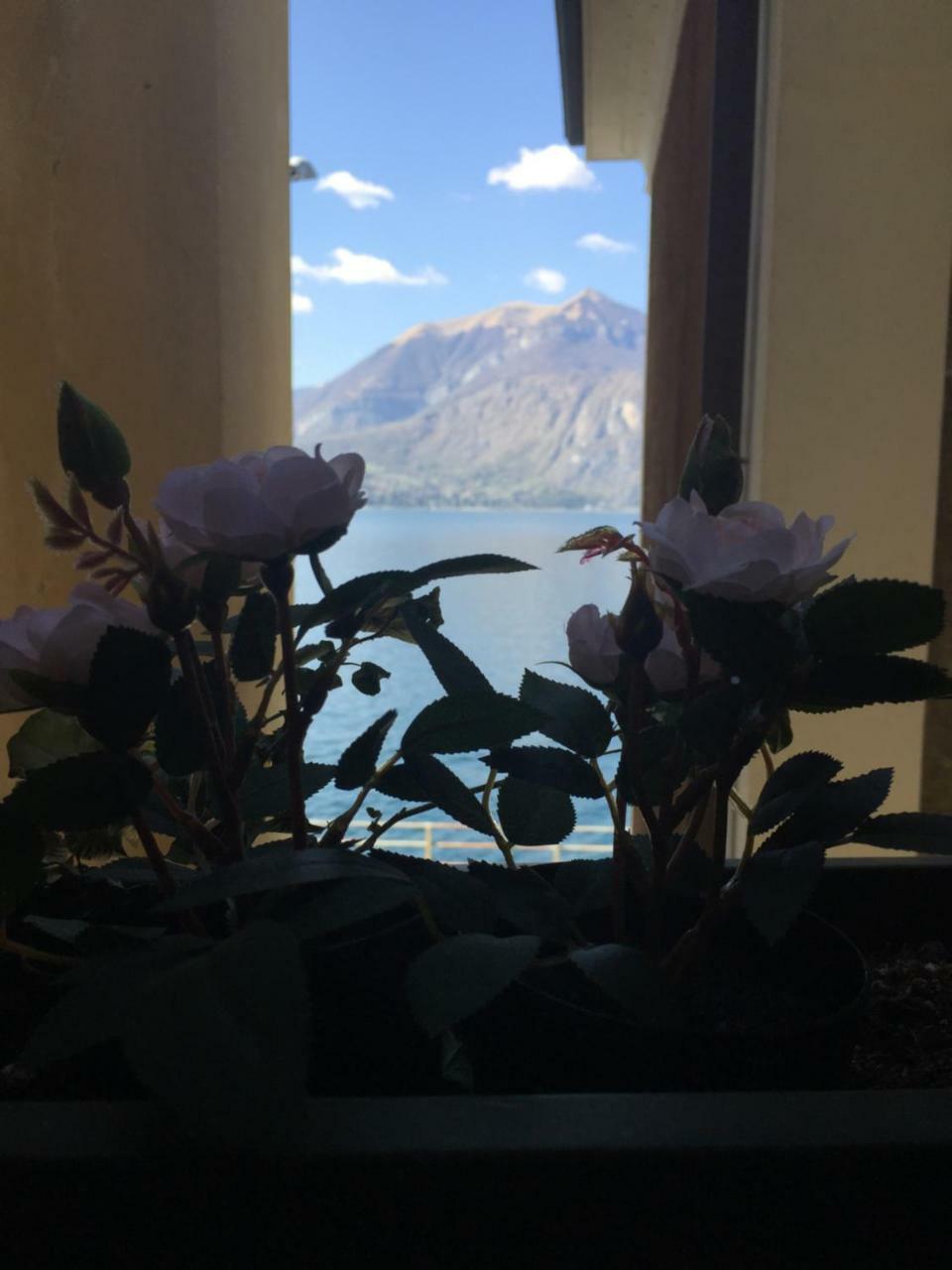 Cozy Garden Retrait Apartment Varenna Exterior photo